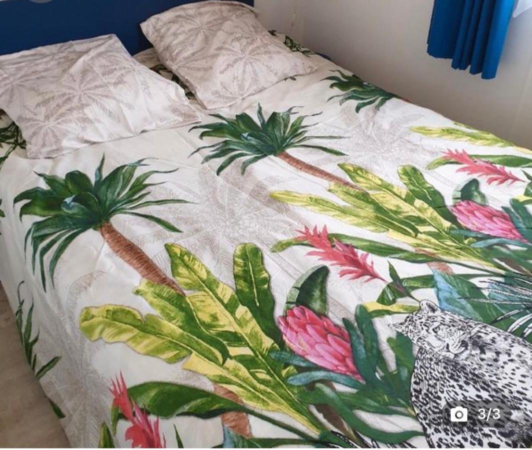 Mobilehome 3 Chambres Curistes Camping Piscine Saint-Paul-lès-Dax Dış mekan fotoğraf